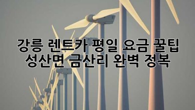 강릉 렌트카 평일 요금 꿀팁🍯: 성산면 금산리 완벽 정복!
